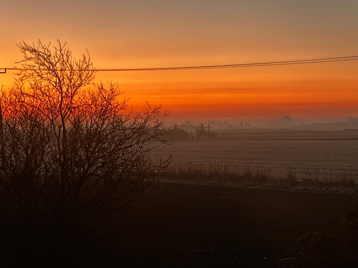 Orange sunrise over misty farmland with a bare tree in the foreground